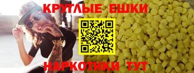 гидропоника Краснознаменск