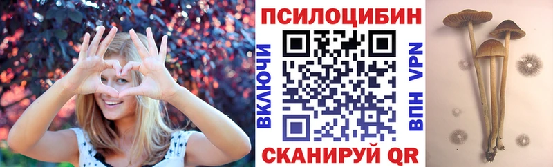 Галлюциногенные грибы ЛСД Коркино