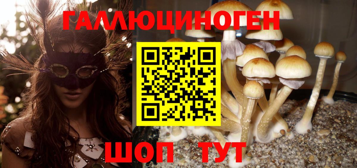 Коркино  где продают наркотики  Вход с VPN  Галлюциногенные грибы GOLDEN TEACHER 