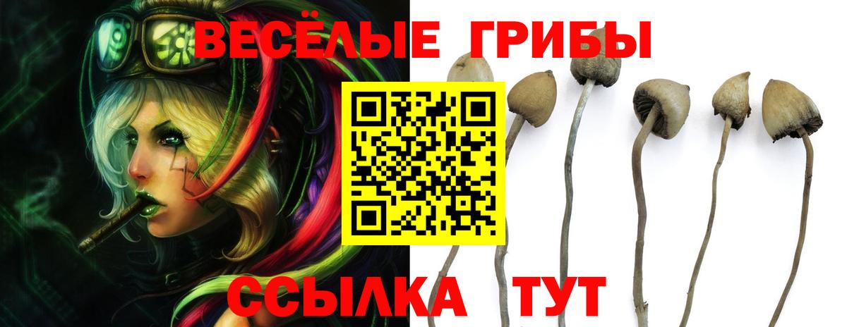 Галлюциногенные грибы Magic Shrooms Коркино